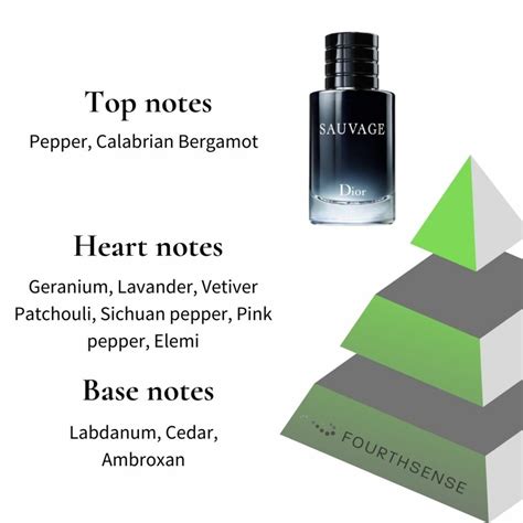 sauvage dior scent notes